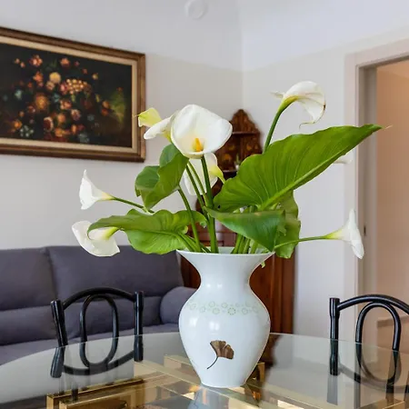 Appartement Ca Elsa