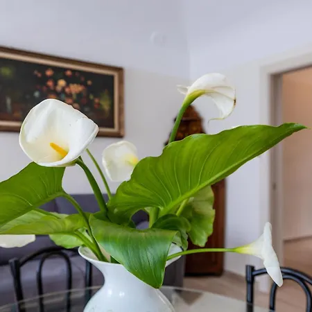 Appartement Ca Elsa